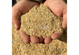 فروش عمده دان مرغ تخم گذار و جوجه یک روزه - طیور