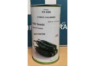 فروش بذر خیار کاترینا به قیمت بازار در تهران کاترینا دارای خصوصیات زیر