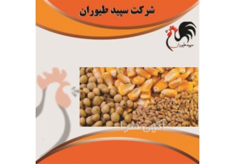 فروش دان جوجه - فروش ویژه دان مرغ تخمگذار - طیور
