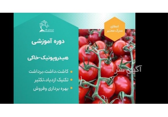 دوره آموزشی کشت گلخانه گوجه -توت -خیار-فلفل رنگی