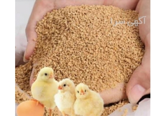 دوره آموزش جیره نویسی طیور