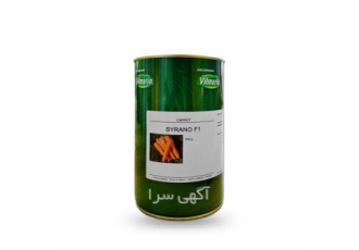 خرید بذر هویج سیرانو از ویلمورین فرانسه با کیفیت ممتاز