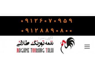پرورش مرغ محلی اصلاح شده گلپایگان در تهران مرغ محلی اصلاح شده گلپایگان