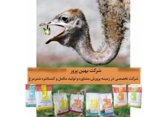 کنسانتره و مکمل غذایی شترمرغ در مشهد آیا میخواهید با کمترین هزینه