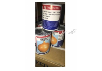 قیمت بذر پیاز تاکی - پخش و فروش عمده بذر پیاز تاکی