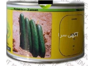 فروش ویژه بذر خیار مناسب کاشت در فضای باز با کیفیت عالی