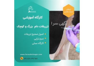 کارگاه آموزشی تزریقات گاو و گوسفند در تهران گاهی بدلیل شرایط خاص نبود