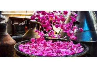 معتبر ترین تولید کننده عرقیات گیاهی برای مرغداری با بهترین قیمت‌ها در اصفهان