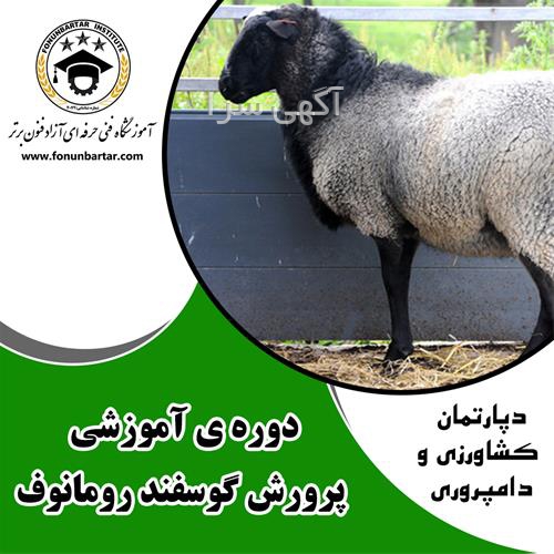 فروش دام کبک