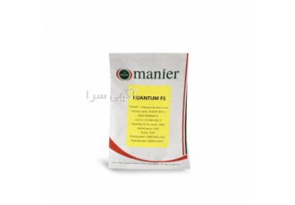 فروش بذر گوجه گلخانه ای کوانتوم