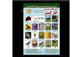 اعطا گواهی مهارتی آموزشی کشاورزی در کرج افرادی دارای مهارت در زمینه