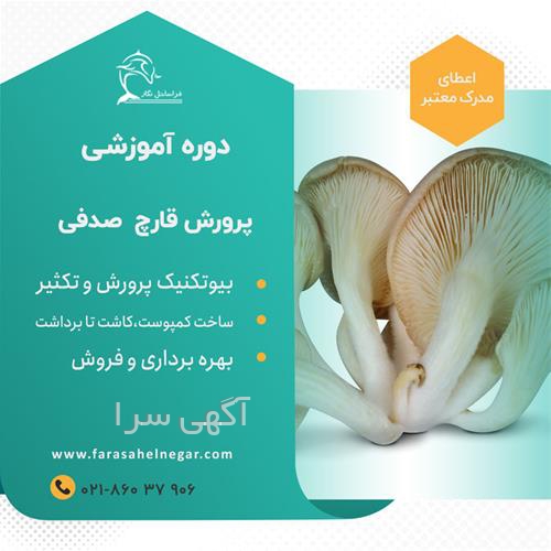 کار روزانه آنلاین
