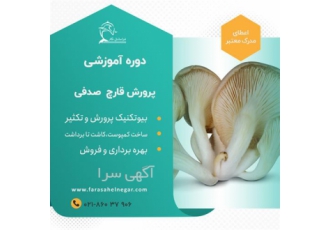 دوره آموزشی سیر تا پیاز تولید قارچ صدفی در تهران 90تا 95 درصد قارچ