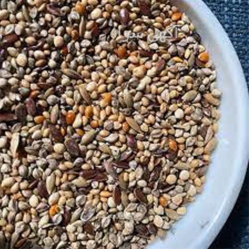 آگهی های خدمات طیور - دزفول
