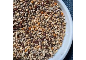 برترین فروشنده دان طیور و دان مرغ در ایران