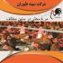فروش مرغ محلی پرورشی با قیمت عالی طیور در تهران فروش مرغ محلی پرورشی