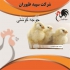 خرید و فروش جوجه مرغ گوشتی در تهران خرید و فروش جوجه مرغ گوشتی طیور