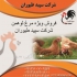 فروش مرغ شش ماهه تخم گذار لوهمن در تهران فروش مرغ شش ماهه تخم گذار
