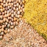 دان تخمگذار مرغ طیور در تهران گارانتی اصالت و سلامت فیزیکی کالا آماده