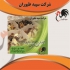 جوجه یک روزه مرغ محلی گلپایگان طیور در تهران جوجه یک روزه مرغ محلی