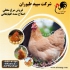 نیمچه گلپایگان فروش مرغ تخم گذار پا به تخم طیور در تهران نیمچه گلپایگان