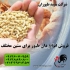 عرضه کننده دان مرغ تخم گذار شرکتی طیور در تهران عرضه کننده دان مرغ