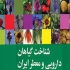 دوره آموزش طب سوزنی آموزش صفر تا صد حجامت در اهواز آموزش زالو درمانی
