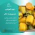 آموزش گلخانه هیدروپونیک و خاکی مدرک معتبر در تهران اولین سوالی که قبل