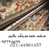 فروش مرغ تخم گذار ۴ ماهه پخش جوجه مرغ تخم گذار در تهران فروش مرغ تخم