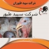 خرید و فروش انواع بوقلمون دان بوقلمون &#۱۶۰; طیور در تهران خرید