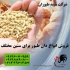 فروش دان مرغ دان مرغ درجه یک طیور در تهران فروش دان مرغ دان مرغ درجه