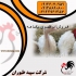 قیمت دان بوقلمون قیمت جوجه یک روزه بوقلمون در تهران قیمت دان بوقلمون