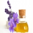 خرید و فروش عمده چربی و روغن شترمرغ در اصفهان خرید و فروش روغن شترمرغ