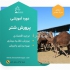 دوره آموزشی سرمایه گذاری کشاورزی دامپروری شیلات در تهران در این دوره