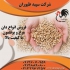 فروش دان جوجه مرغ شرکت سپید طیوران طیور در تهران فروش دان جوجه مرغ