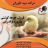 قیمت مرغ گوشتی یک روزه قیمت جوجه گوشتی طیور در تهران قیمت مرغ گوشتی
