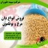 خرید و فروش دان مرغ گوشتی و بومی با کیفیت ممتاز در تهران به دنبال
