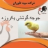 فروش جوجه مرغ گوشتی همه روزه طیور در تهران فروش جوجه مرغ گوشتی همه