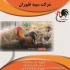 فروش مرغ تخم گذار ۶ ماهه طیور در تهران فروش مرغ تخم گذار 6 ماهه طیور