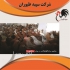 جوجه و مرغ اصلاح شده گلپایگانی طیور در تهران جوجه و مرغ اصلاح شده