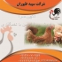 فروش مرغ شش ماهه تخم گذار لوهمن در تهران فروش مرغ شش ماهه تخم گذار
