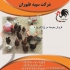 فروش جوجه مرغ بومی یک روزه و ۴۵ روزه طیور در تهران فروش جوجه مرغ یک