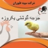خرید و فروش جوجه مرغ گوشتی در تهران خرید و فروش جوجه مرغ گوشتی طیور
