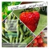 دوره آموزشی کشت صیفی جات گلخانه ای با مدرک در تهران آیا به کشت صیفی جات