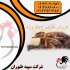 فروش خوراک کامل شترمرغ طیور در تهران فروش خوراک کامل شترمرغ طیور فروش