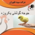 قیمت مناسب جوجه یک روزه گوشتی از مزرعه تخصصی پرورش طیور در تهران اگر
