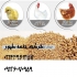 قیمت دان مرغ گوشتی نغمه طیور در تهران قیمت دان مرغ گوشتی طیو قیمت