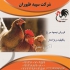 قیمت نیمچه مرغ محلی پرورش نیمچه مرغ محلی تخم گذار در تهران قیمت نیمچه