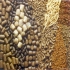 فروش دان مرغ گوشتی و تخم گذار در گونی لمینت شده در تهران حداقل خربد 500