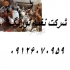 فروش جوجه بومی و محلی اصلاح نژاد شده طیور در تهران فروش جوجه بومی